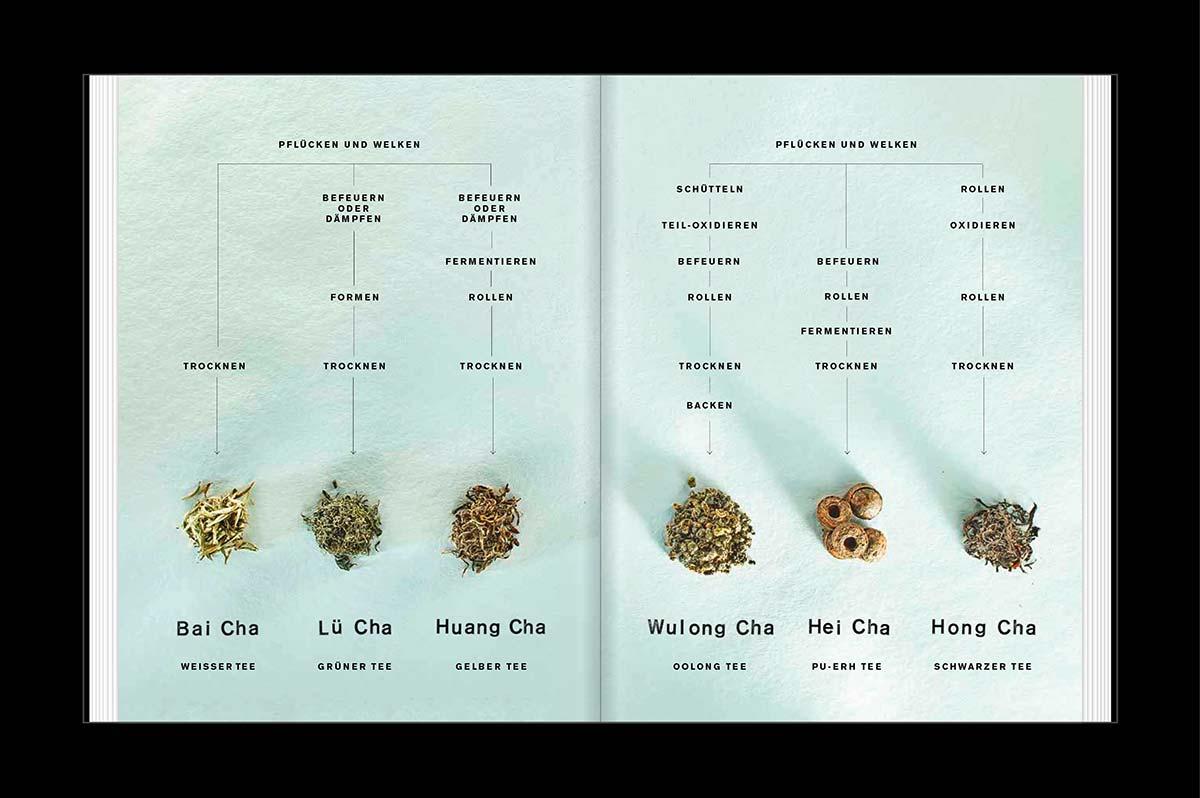 Beispielinhalt (Bild) TEATRIP