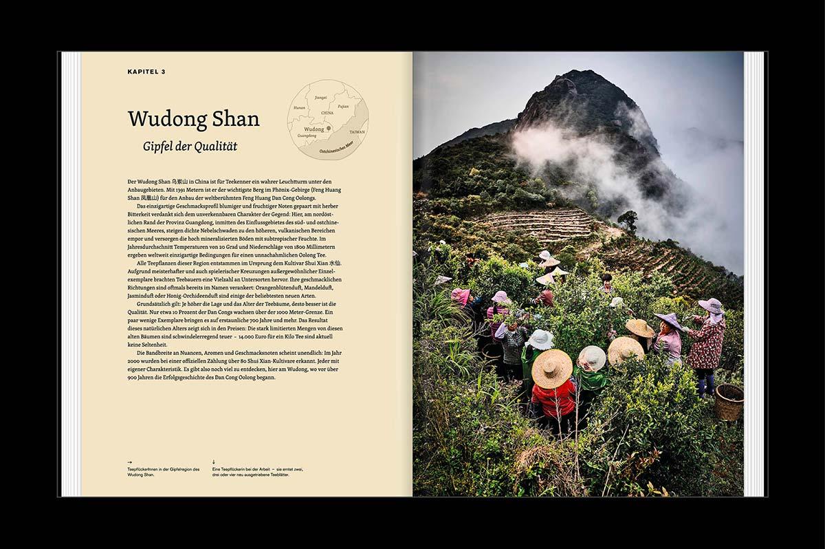 Beispielinhalt (Bild) TEATRIP