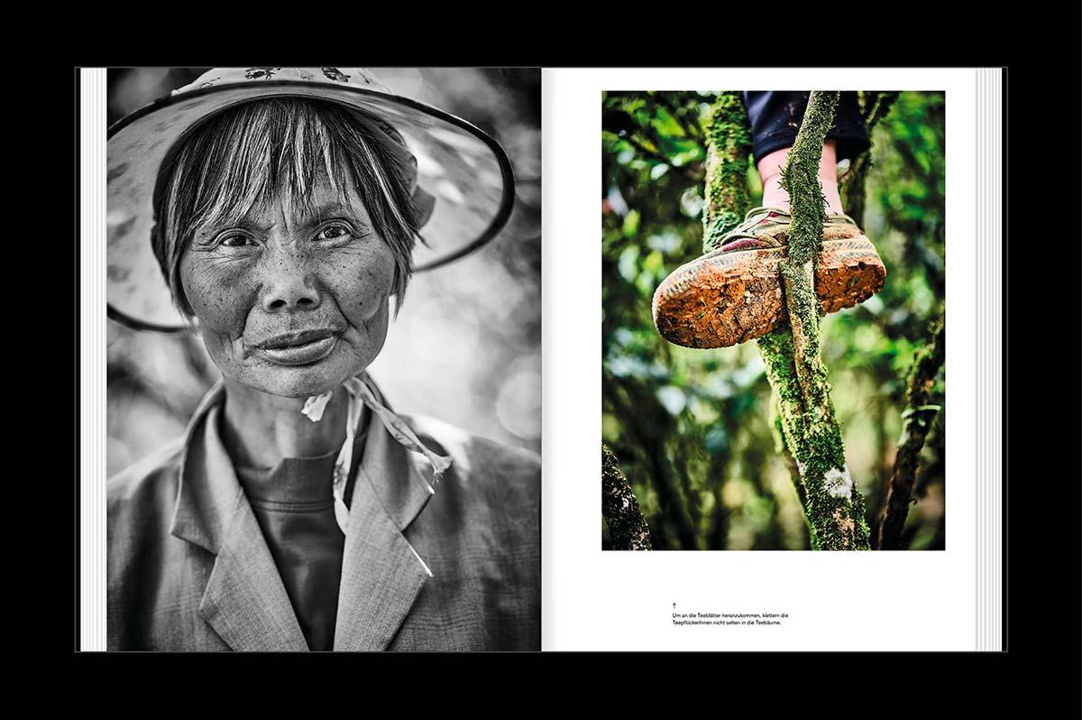 Beispielinhalt (Bild) TEATRIP