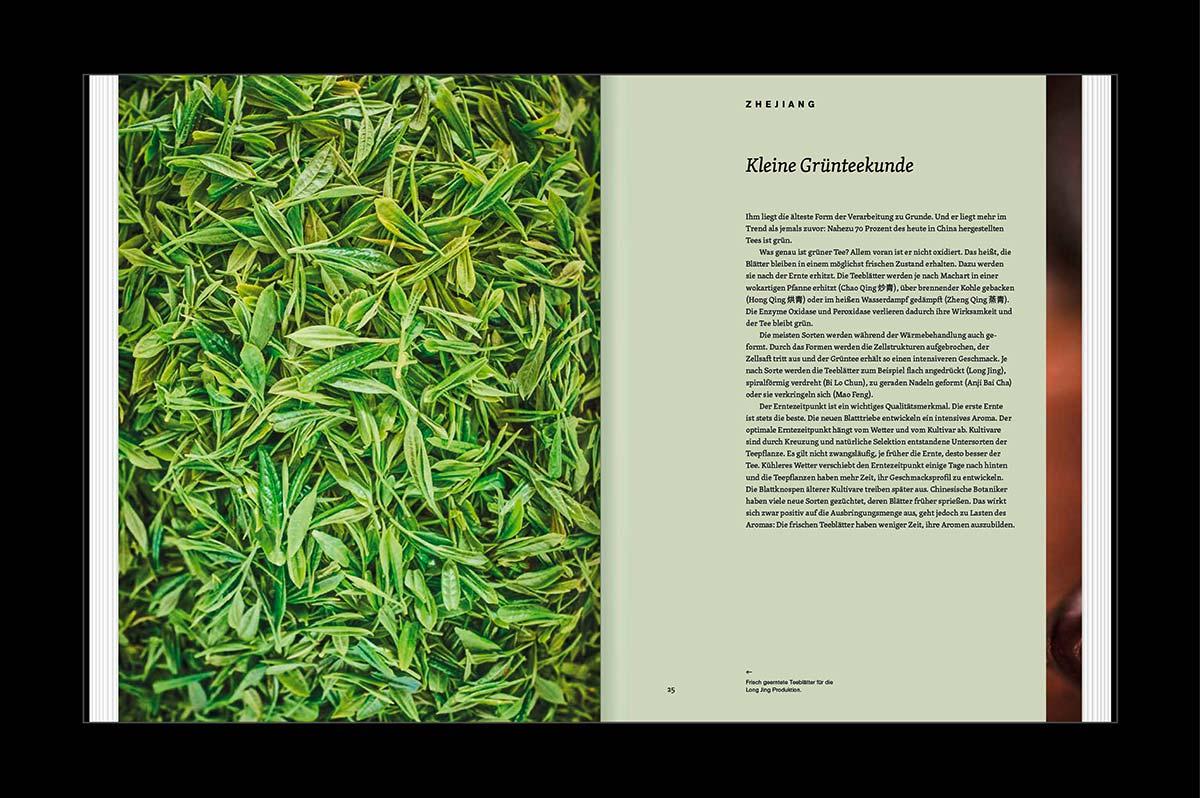 Beispielinhalt (Bild) TEATRIP