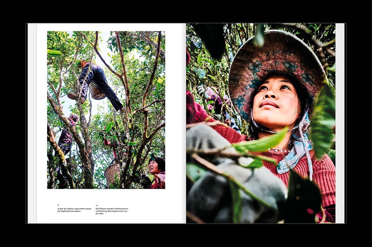 Beispielinhalt (Bild) TEATRIP