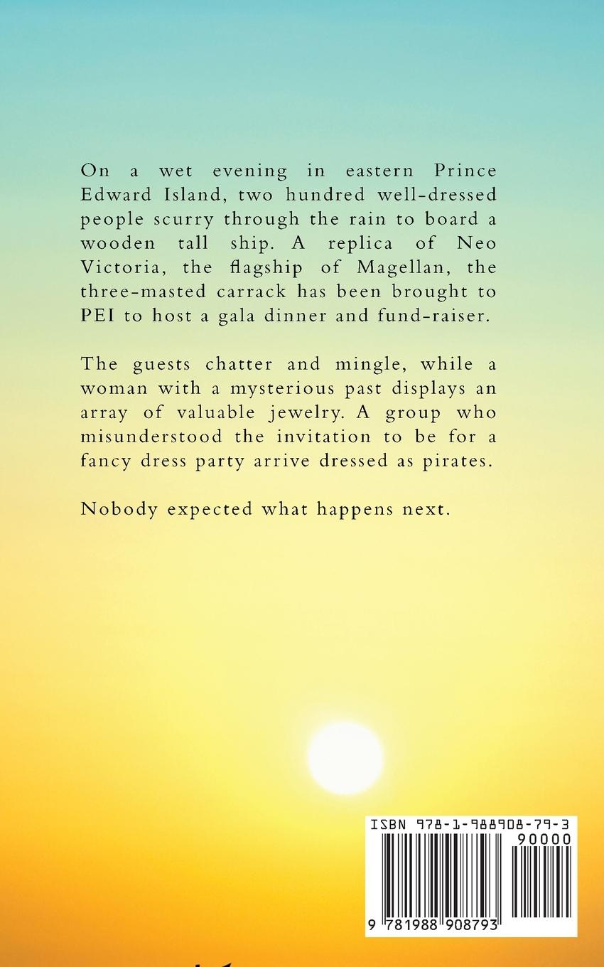 Rückseitencover Piracy