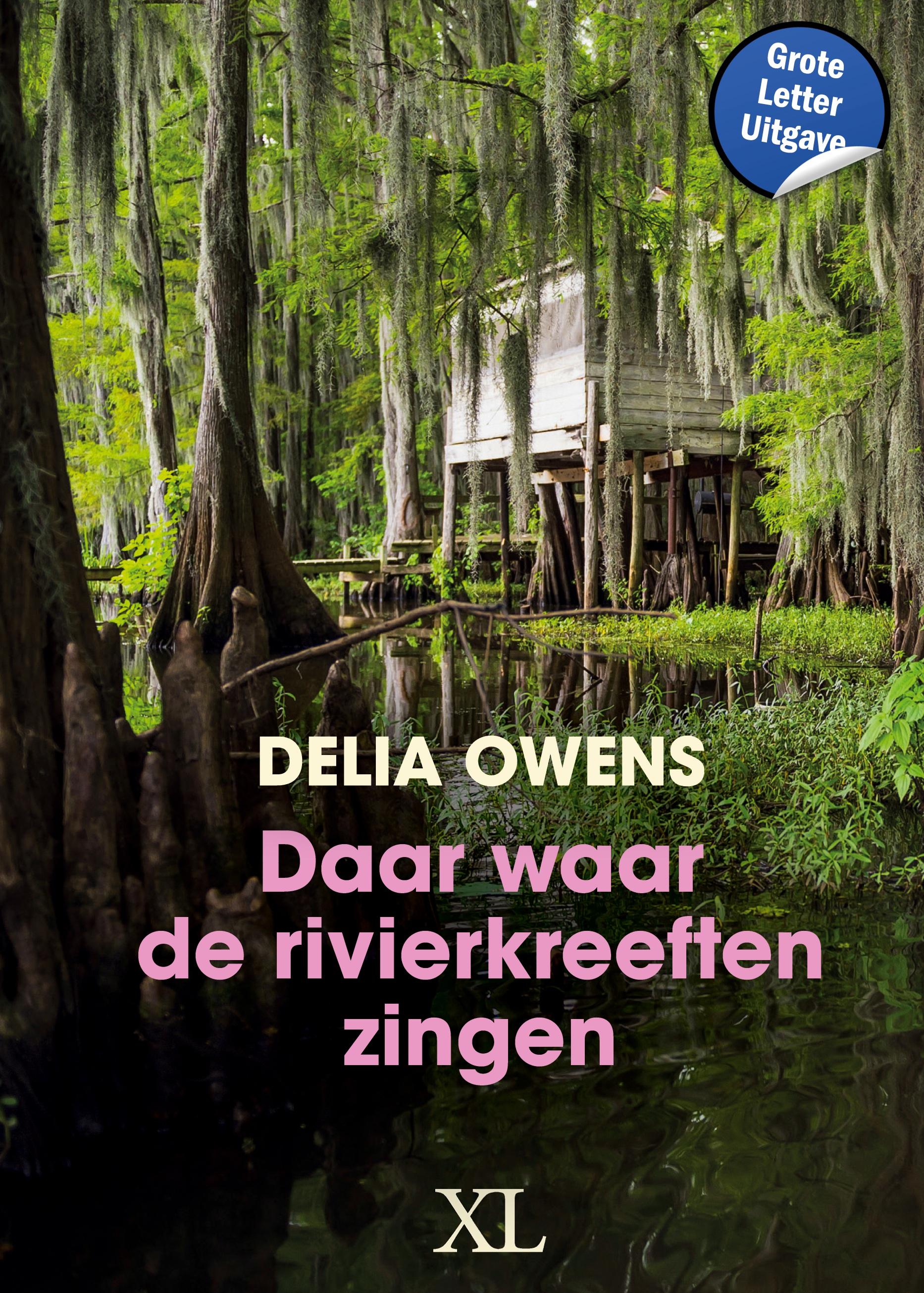 Vorderes Coverbild Daar waar de rivierkreeften zingen