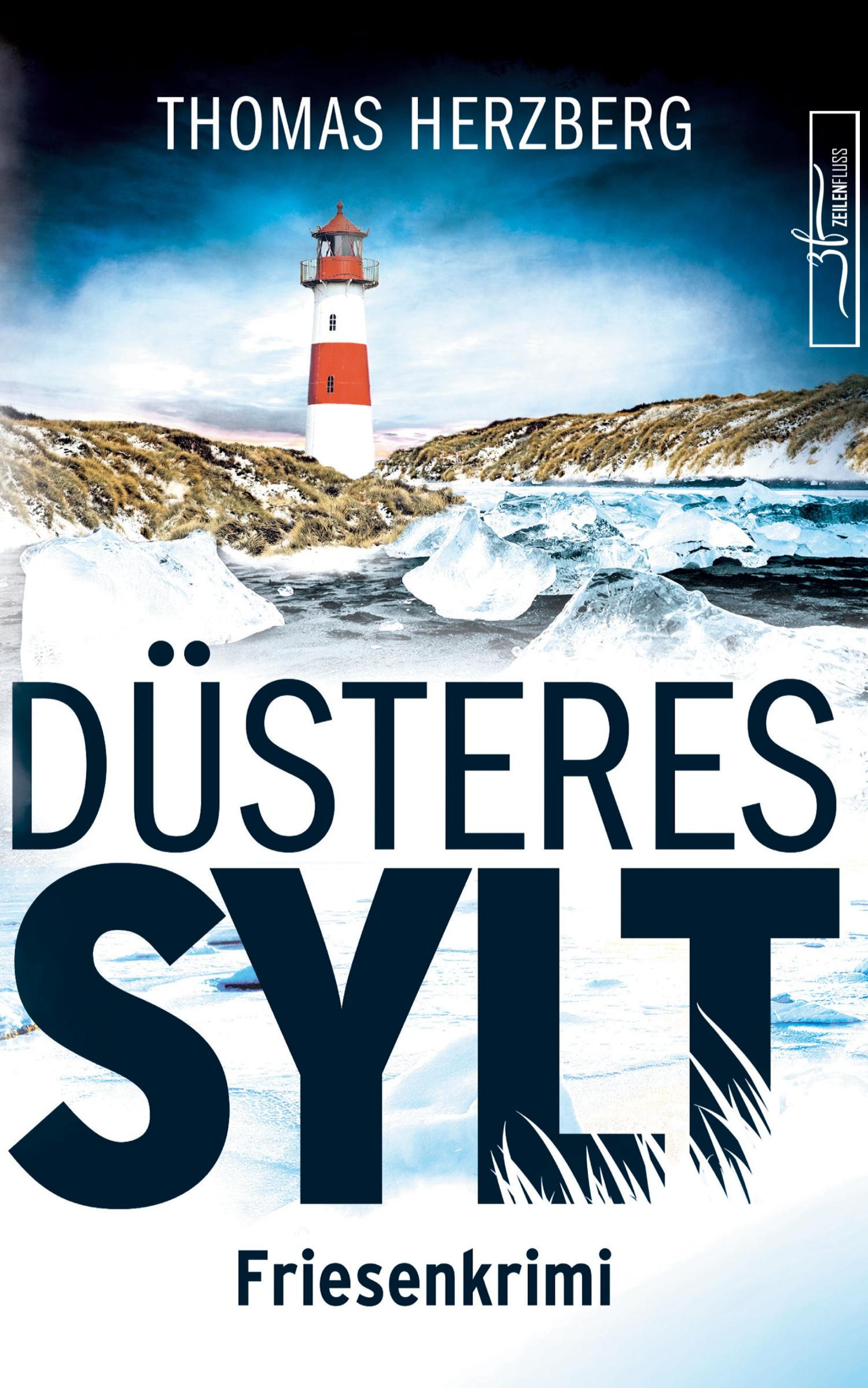 Vorderes Coverbild Düsteres Sylt