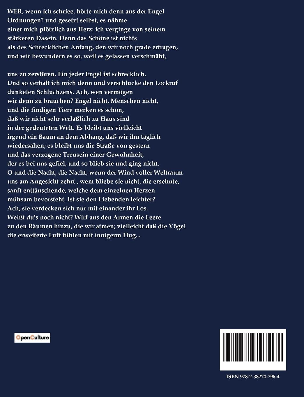 Rückseitencover Duineser Elegien