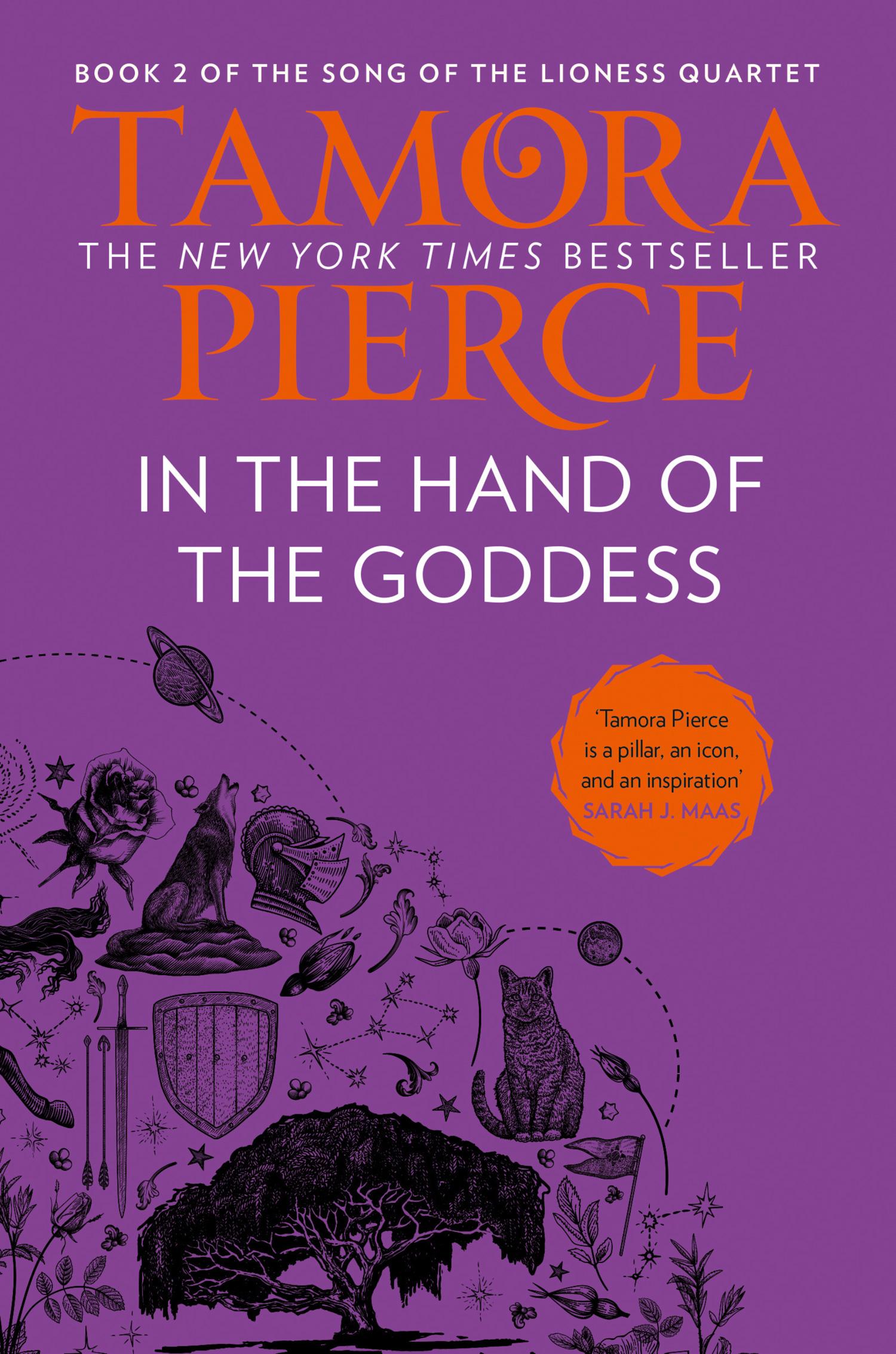 Vorderes Coverbild In The Hand of the Goddess