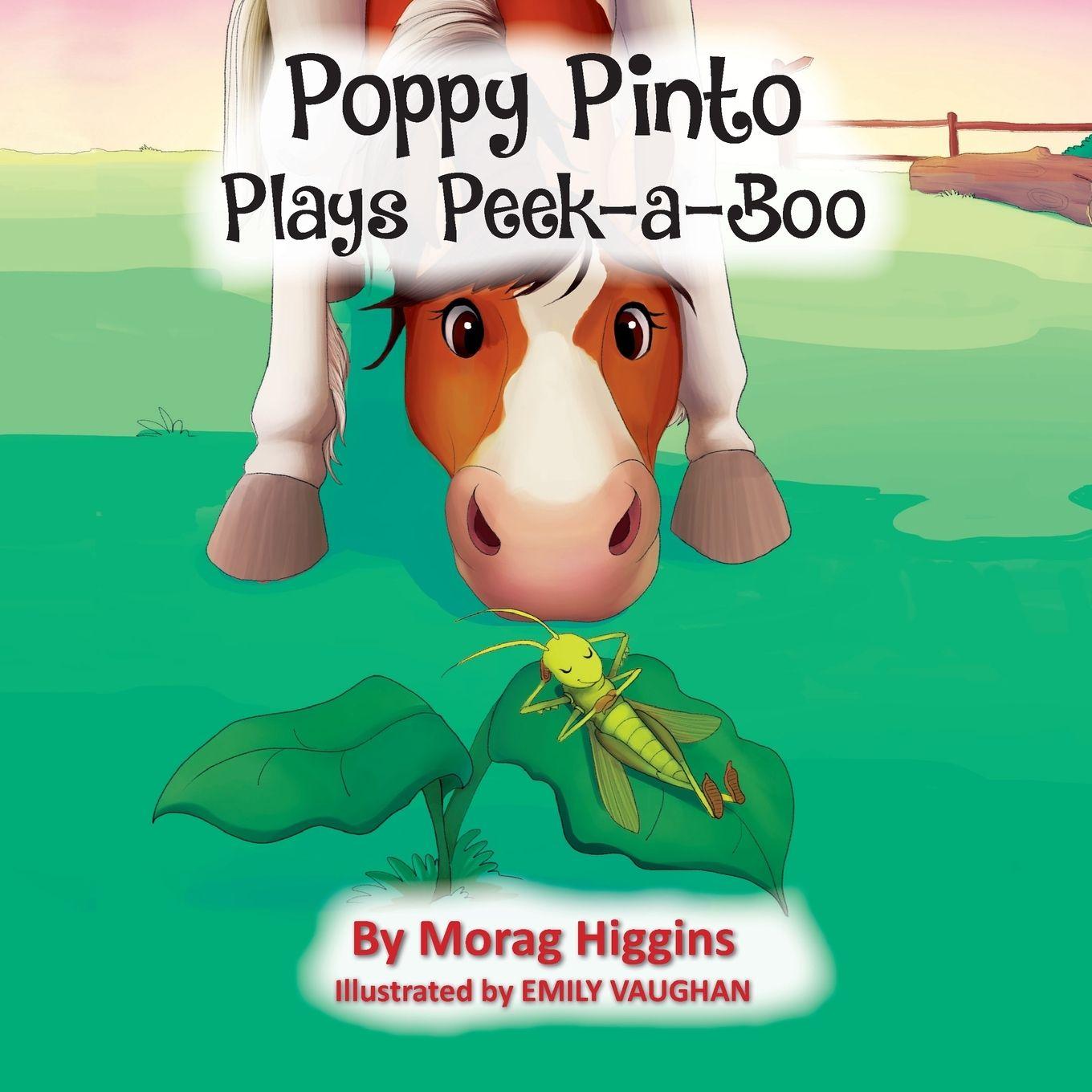 Vorderes Coverbild Poppy Pinto Plays Peek-a-Boo