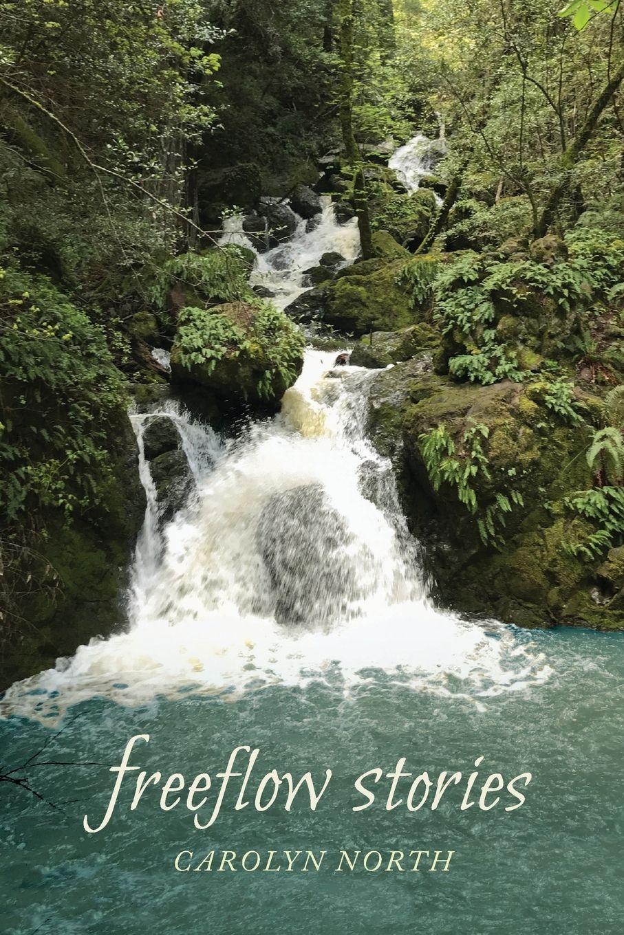 Vorderes Coverbild Freeflow Stories