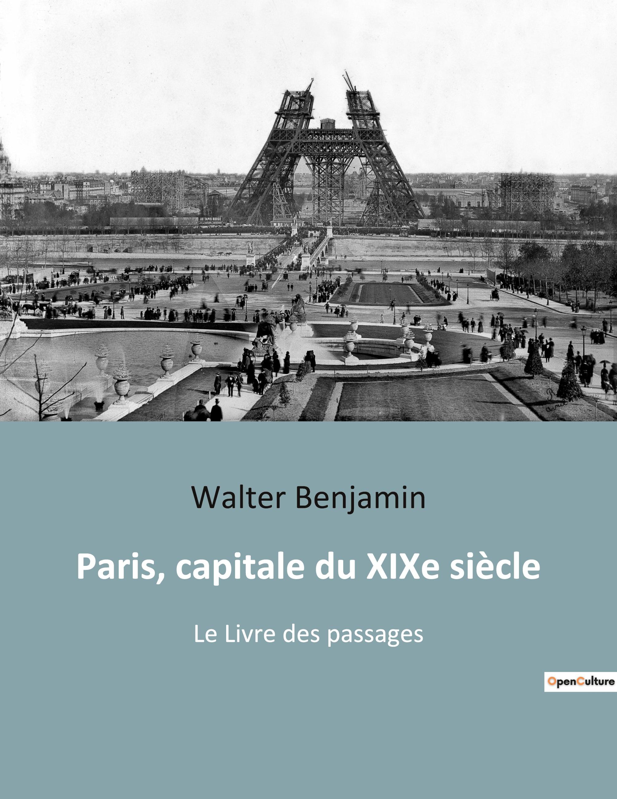 Vorderes Coverbild Paris, capitale du XIXe siècle