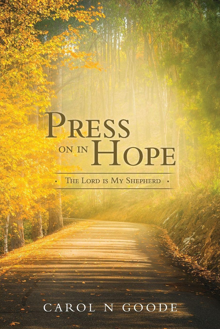 Vorderes Coverbild Press On In Hope