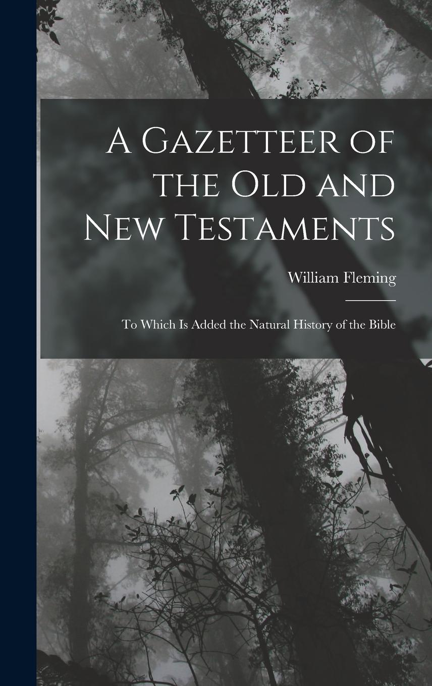 Vorderes Coverbild A Gazetteer of the Old and New Testaments