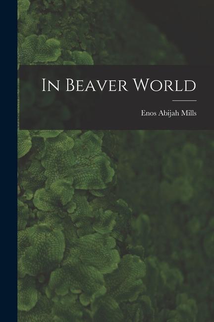 Vorderes Coverbild In Beaver World