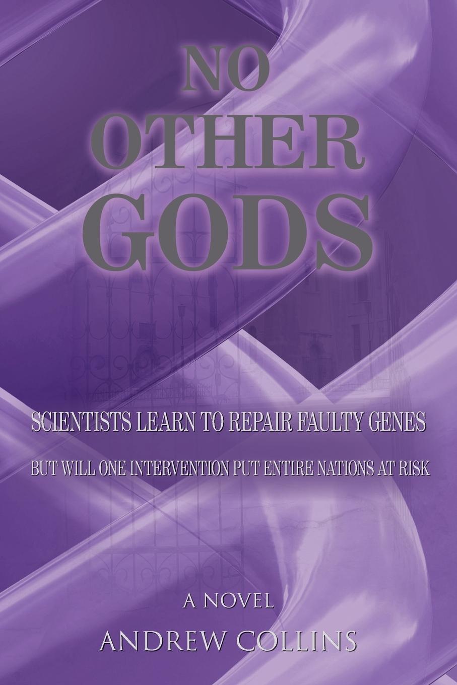 Vorderes Coverbild NO OTHER GODS