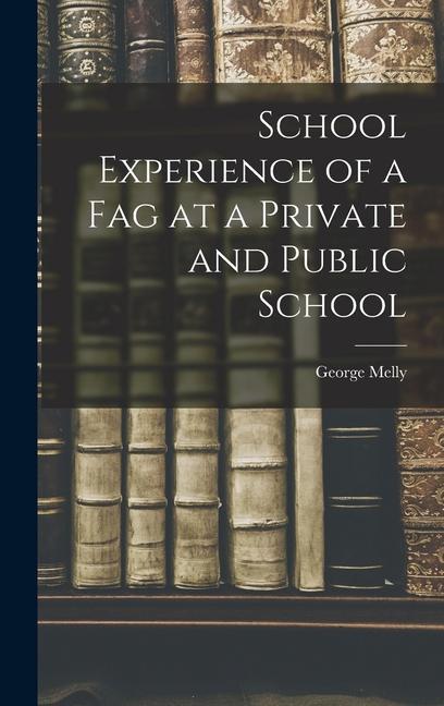 Vorderes Coverbild School Experience of a Fag at a Private and Public School