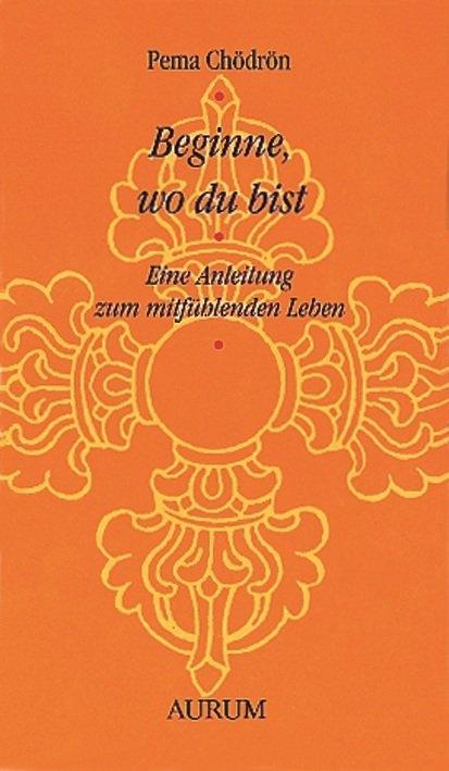Vorderes Coverbild Beginne, wo du bist