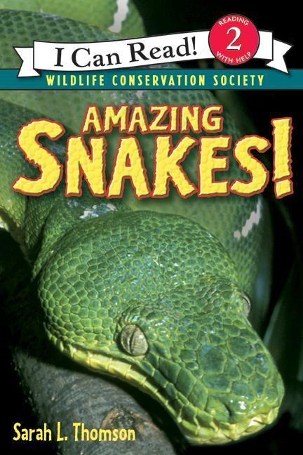 Vorderes Coverbild Amazing Snakes!