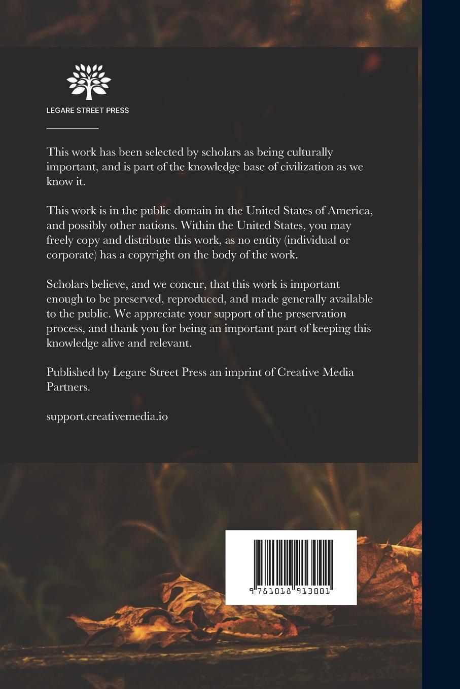Rückseitencover The Strange Little Girl: A Story for Children