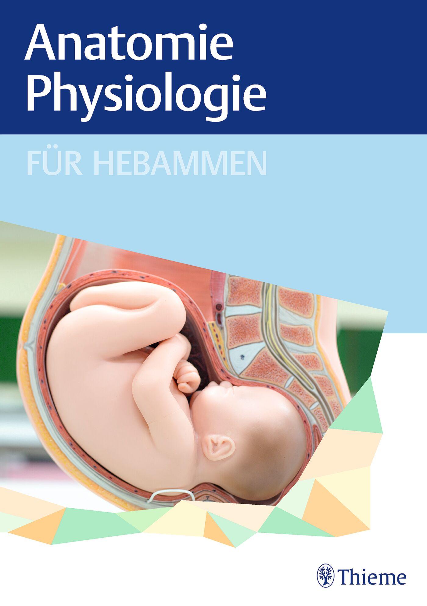 Vorderes Coverbild Anatomie und Physiologie für Hebammen