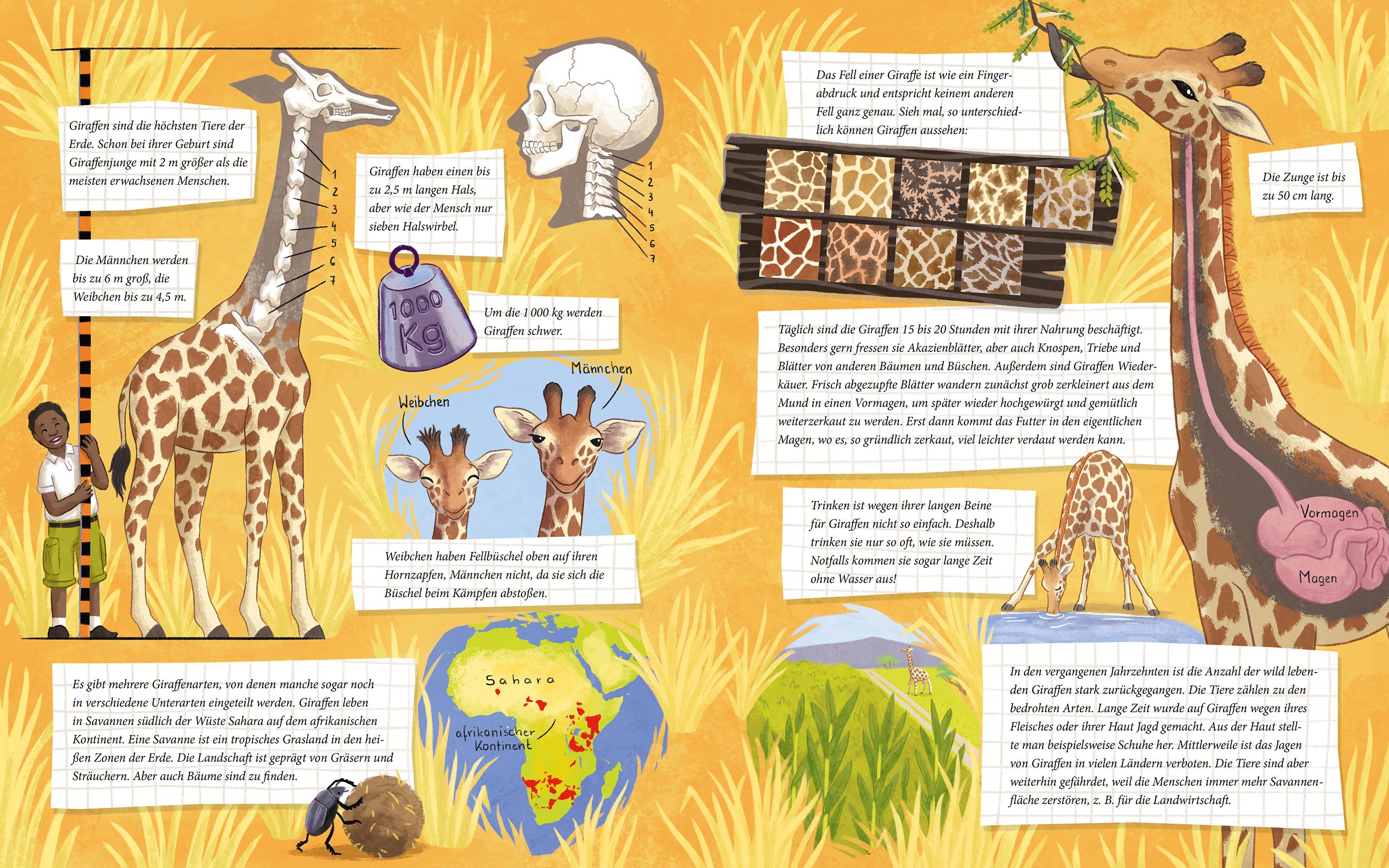 Beispielinhalt (Bild) Die kleine Giraffe - Zu Hause in der Savanne