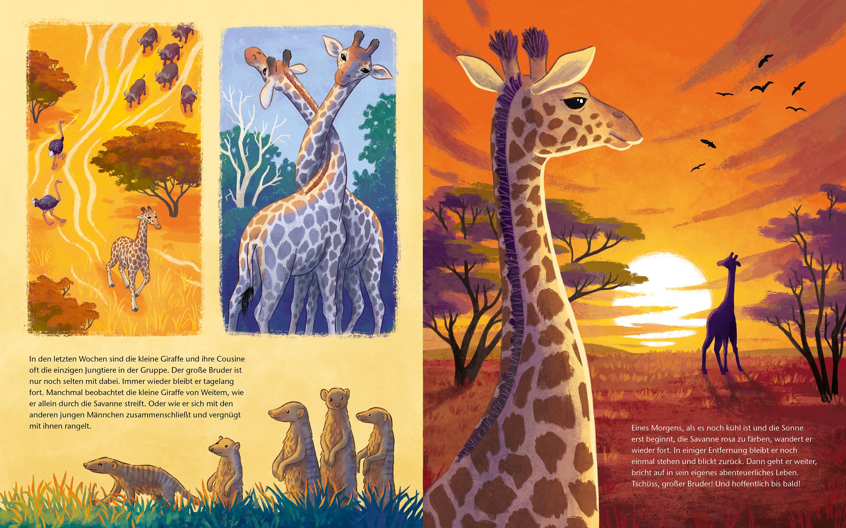 Beispielinhalt (Bild) Die kleine Giraffe - Zu Hause in der Savanne