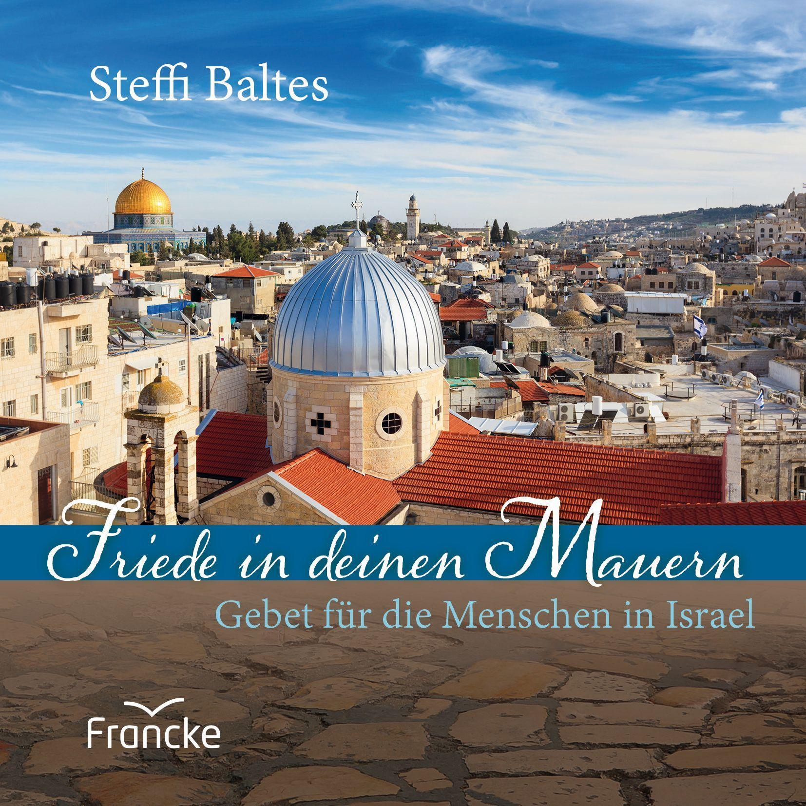 Vorderes Coverbild Friede in deinen Mauern