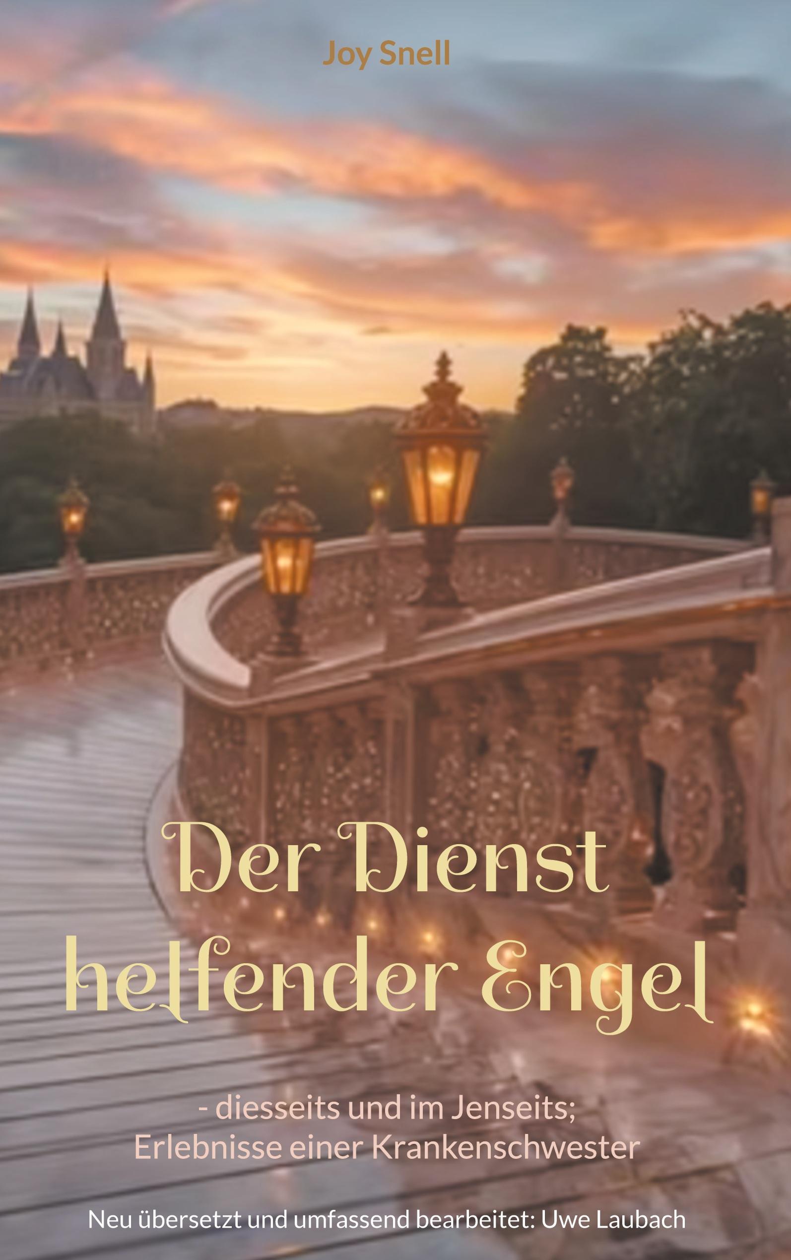 Vorderes Coverbild Der Dienst helfender Engel