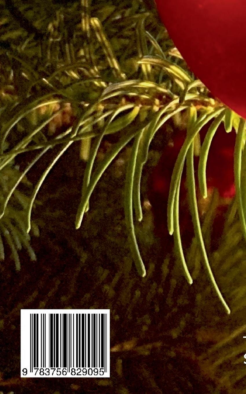 Rückseitencover Weihnachten kann kommen...