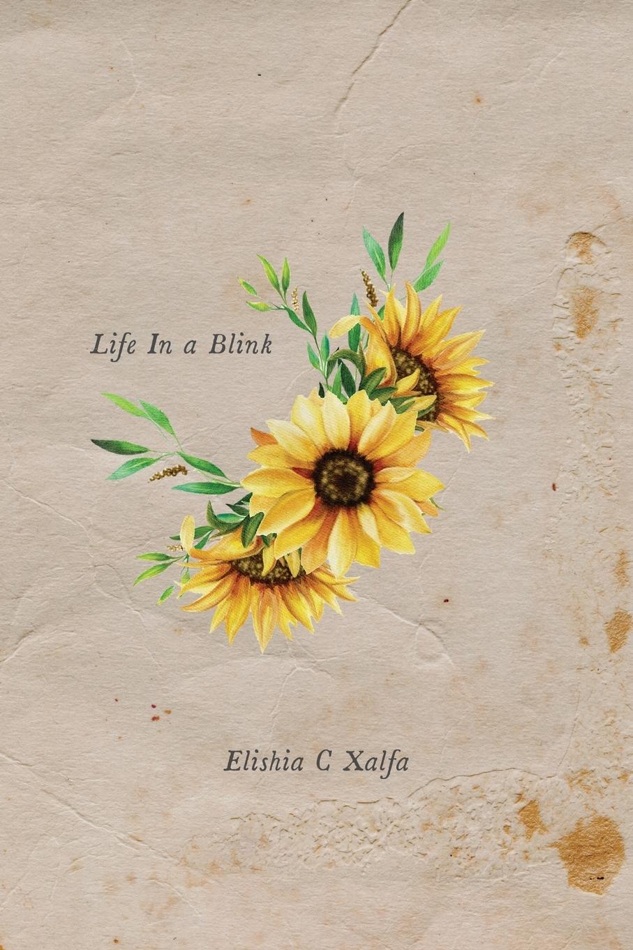 Vorderes Coverbild Life In a Blink