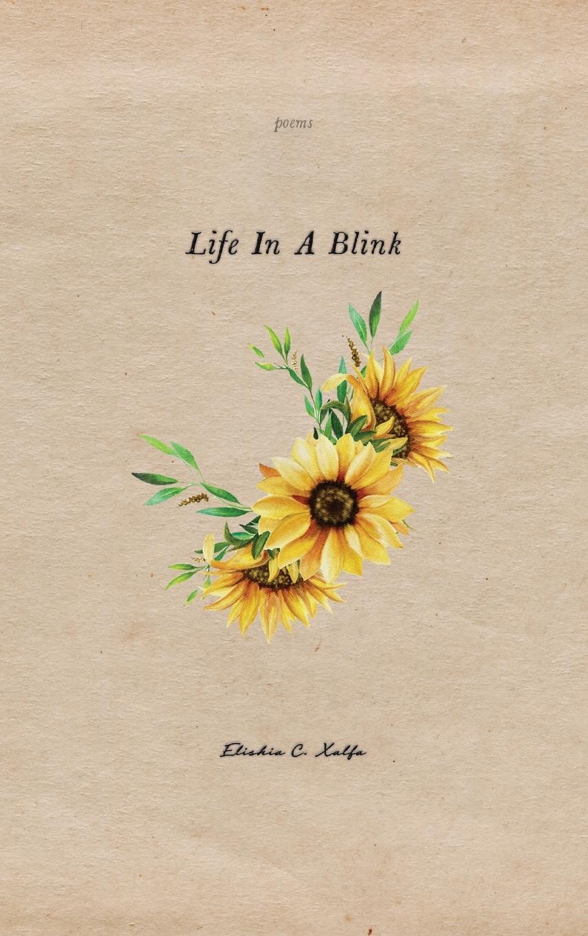 Vorderes Coverbild Life In a Blink