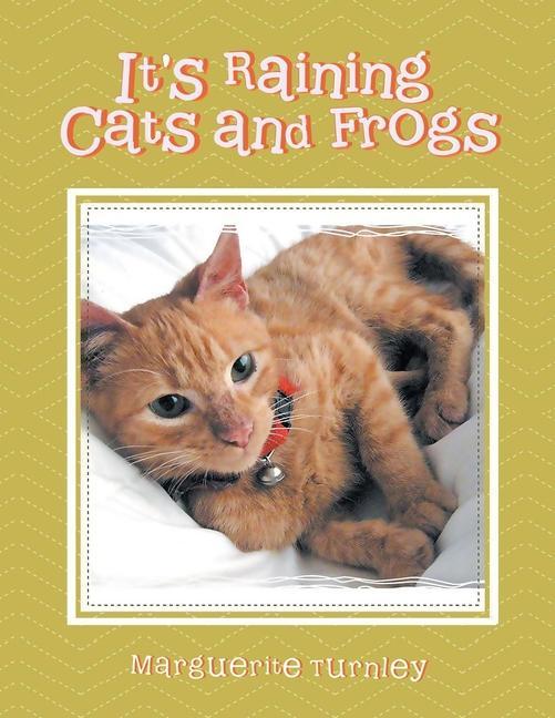 Vorderes Coverbild It's Raining Cats and Frogs