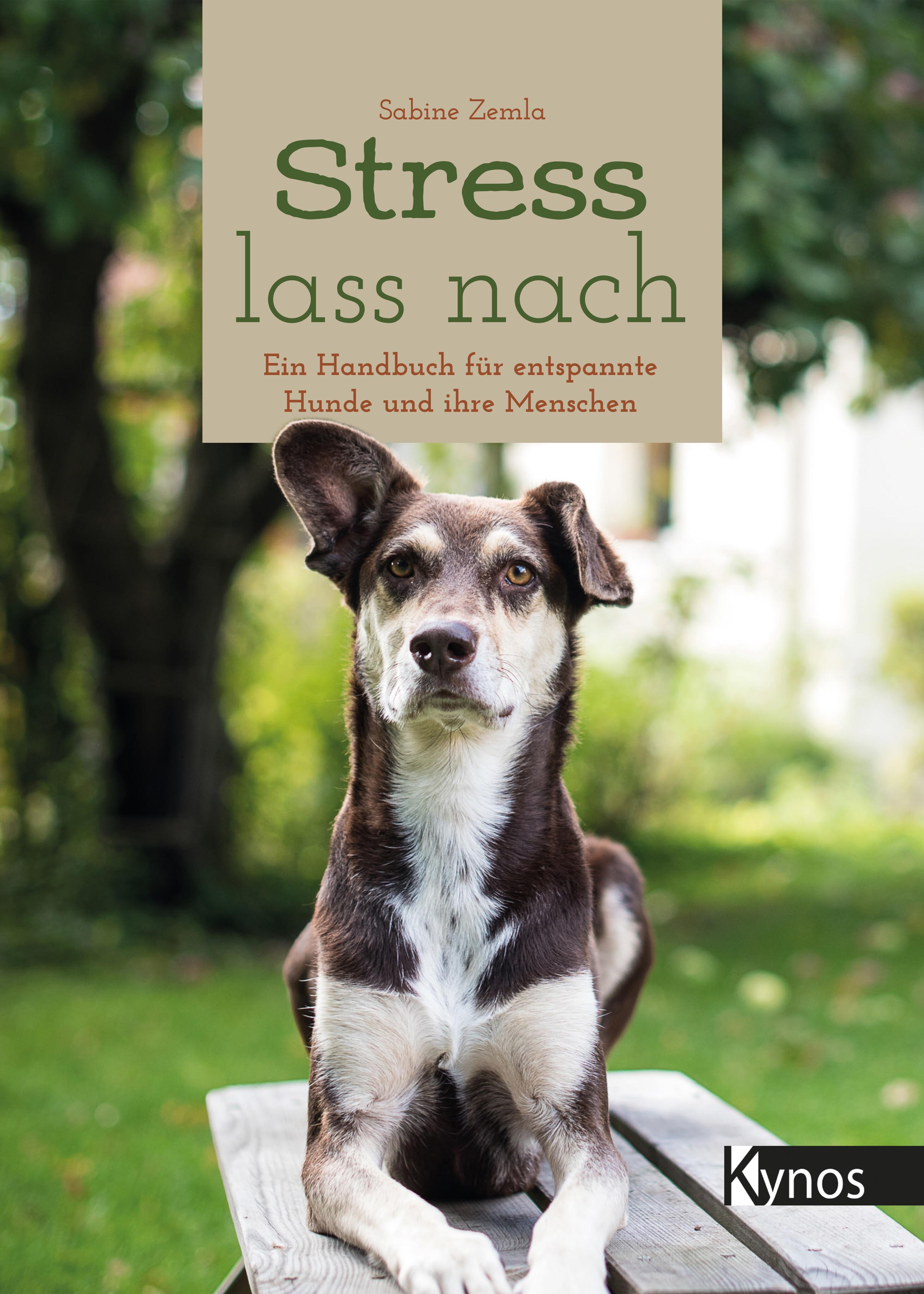 Vorderes Coverbild Stress lass nach