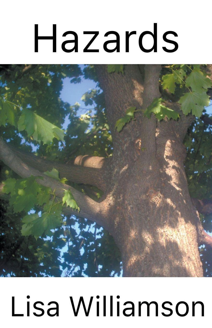 Vorderes Coverbild Hazards