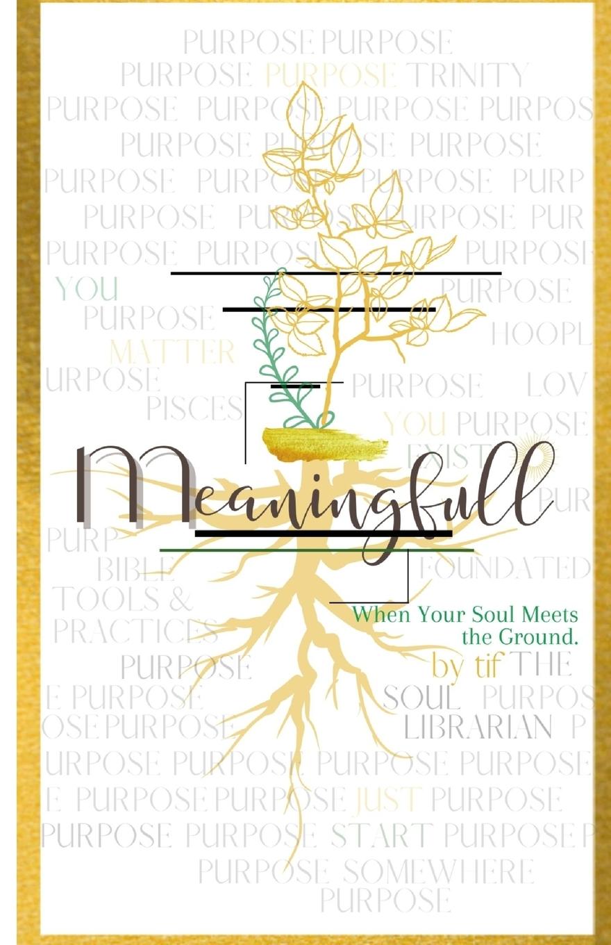 Vorderes Coverbild Meaningfull