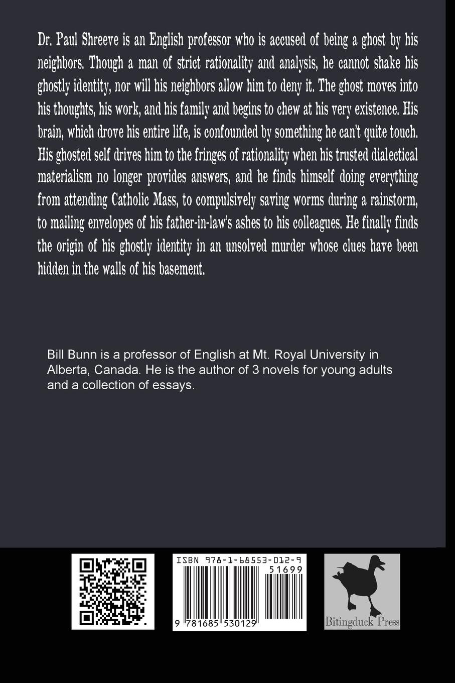 Rückseitencover Ghost In Theory