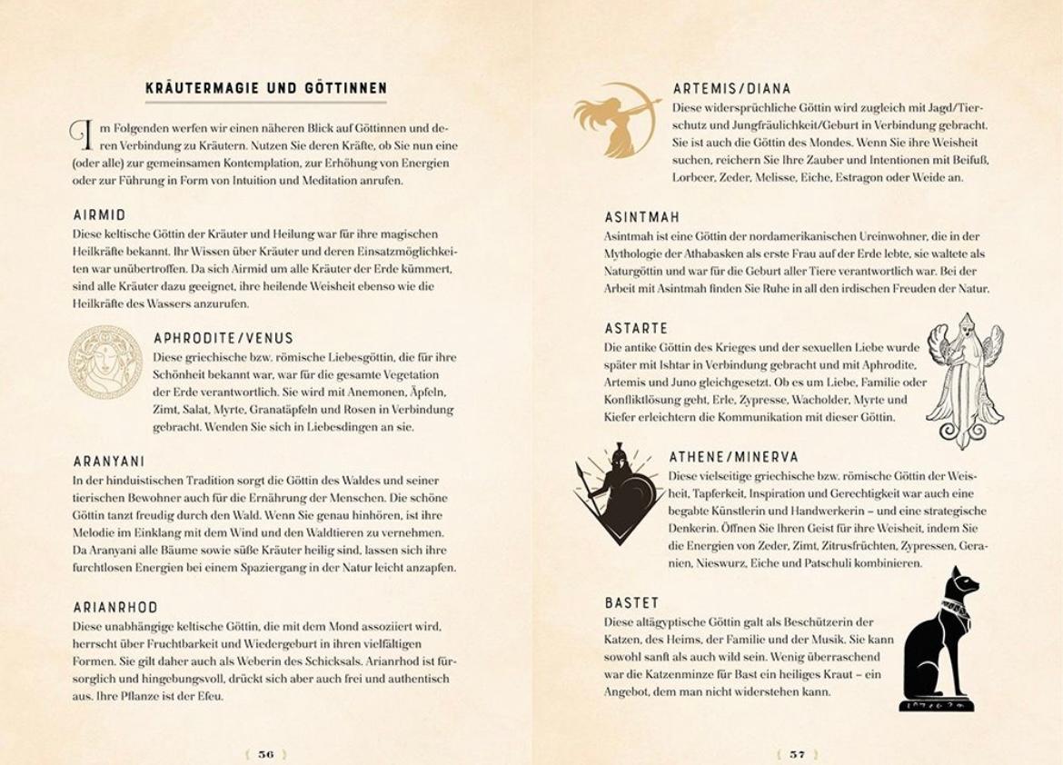 Beispielinhalt (Bild) Die Magie der Kräuter