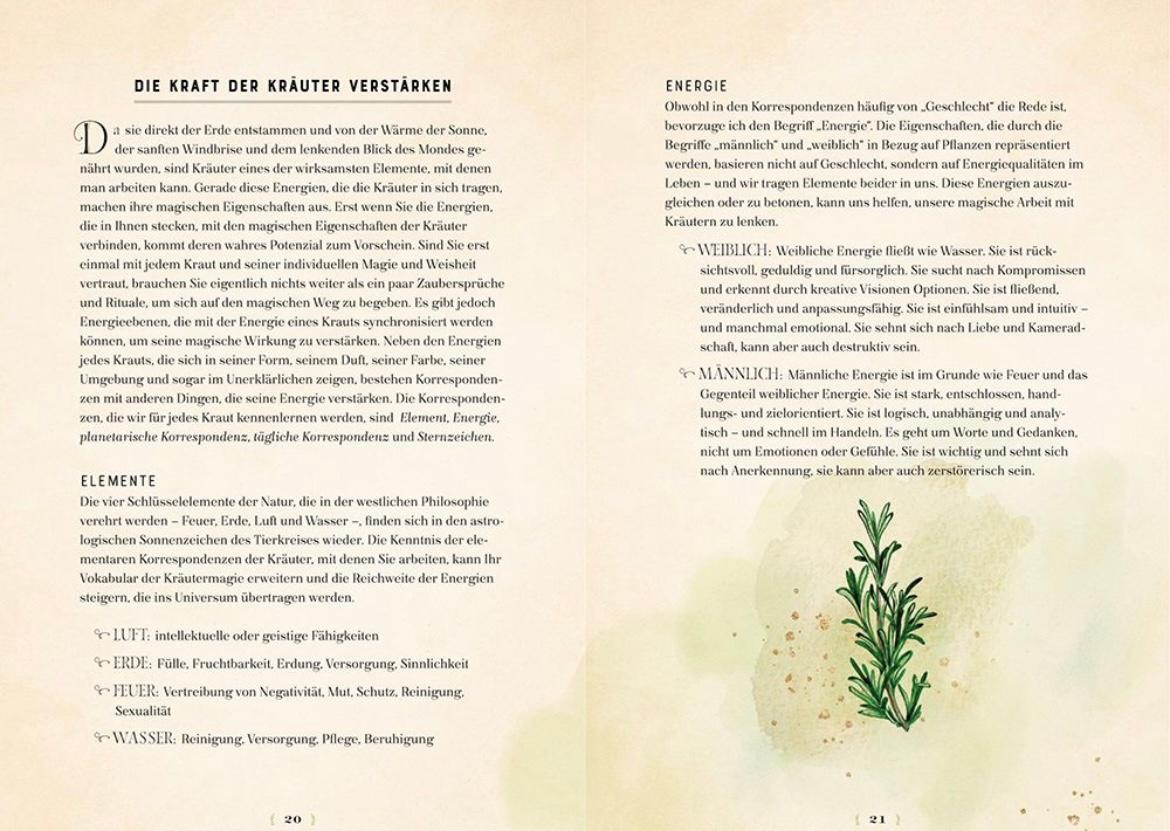Beispielinhalt (Bild) Die Magie der Kräuter
