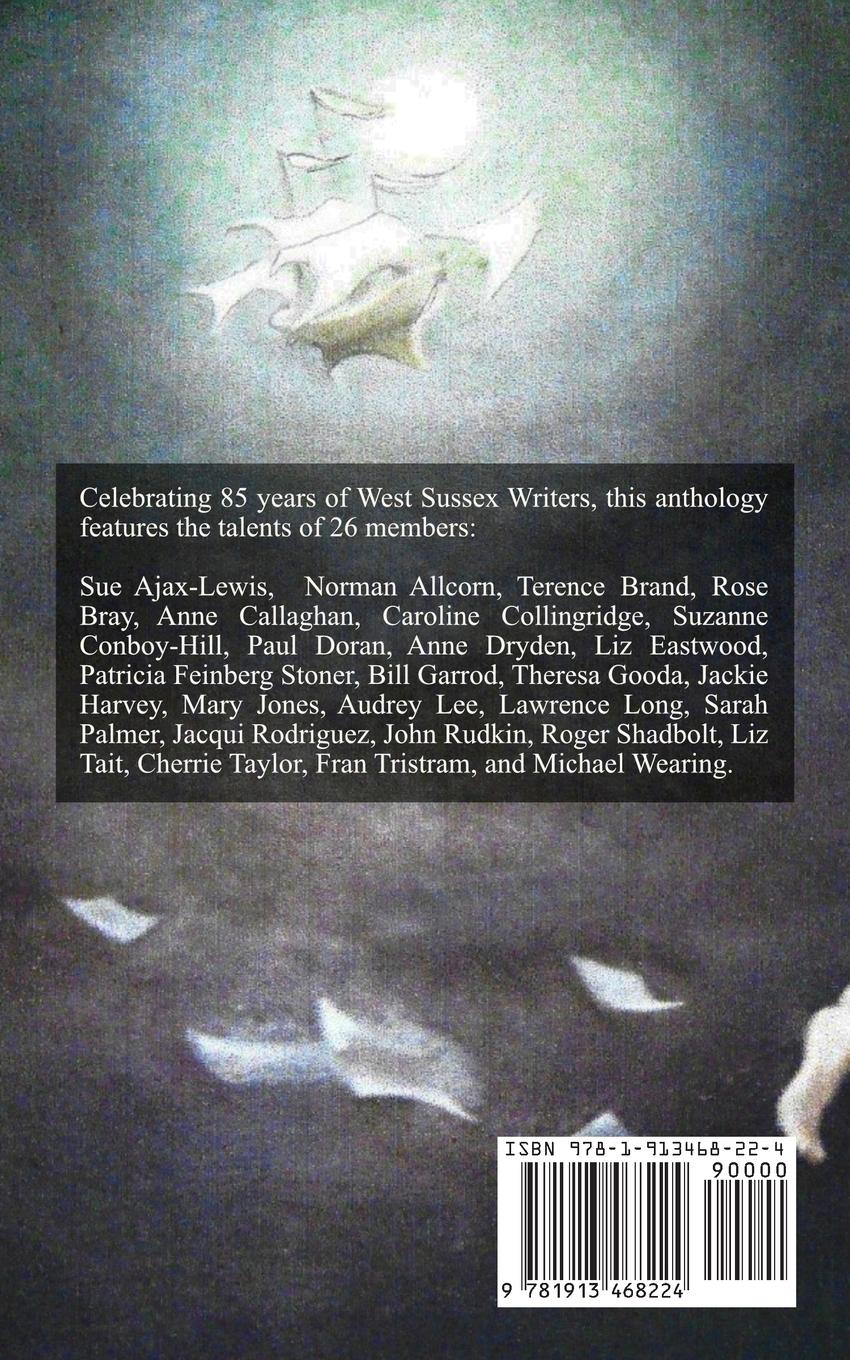 Rückseitencover WSW 85