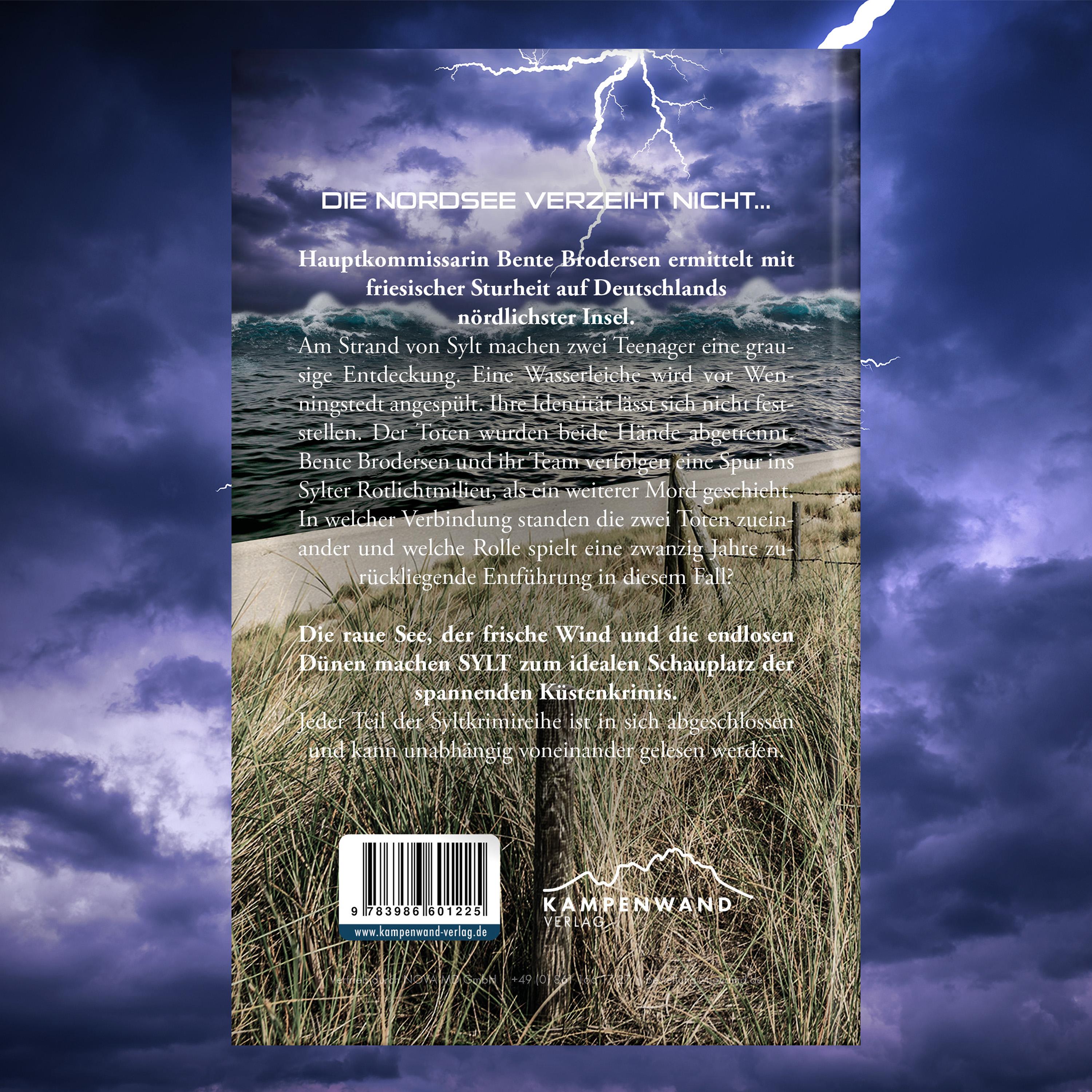 Beispielinhalt (Bild) SYLTKRIMI Nordseegrab