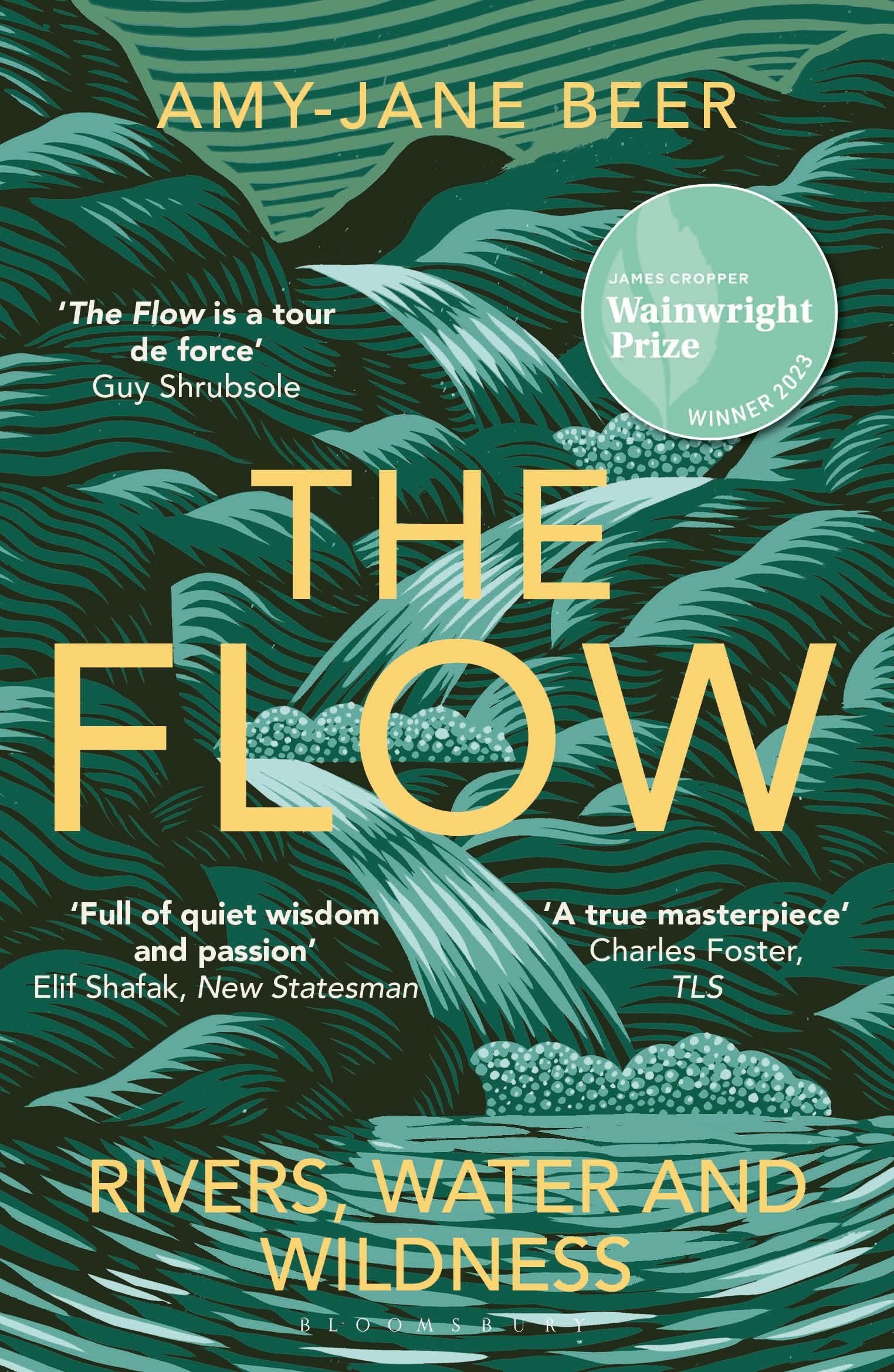 Vorderes Coverbild The Flow