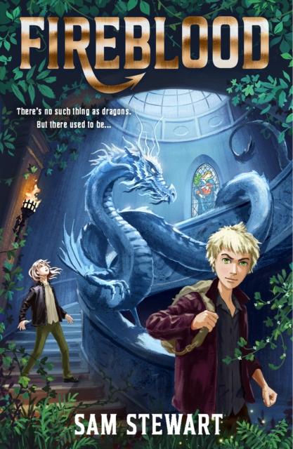 Vorderes Coverbild Fireblood