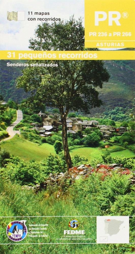 Vorderes Coverbild Pr Asturias IV : 31 pequeños recorridos