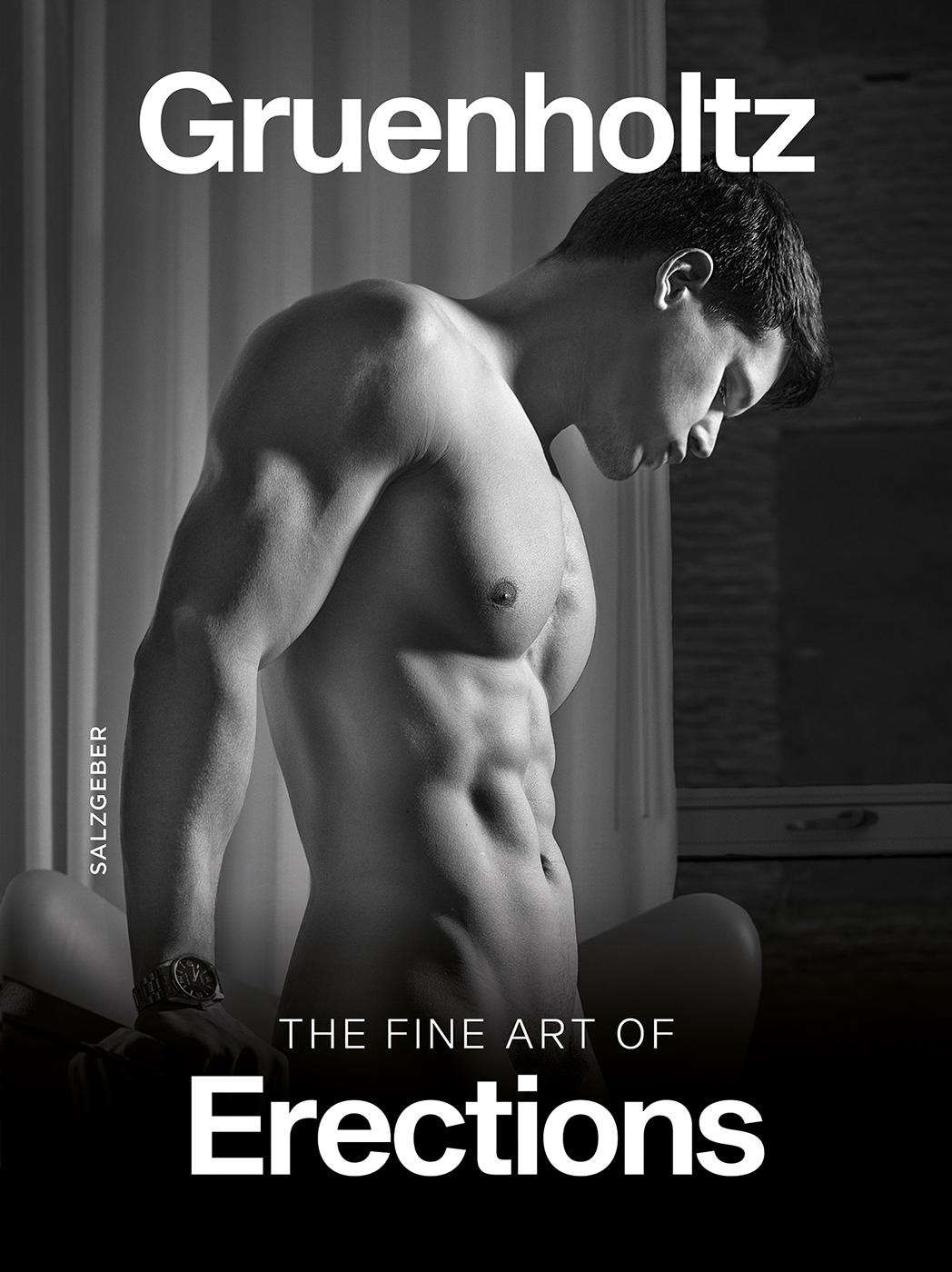 Vorderes Coverbild The Fine Art of Erections