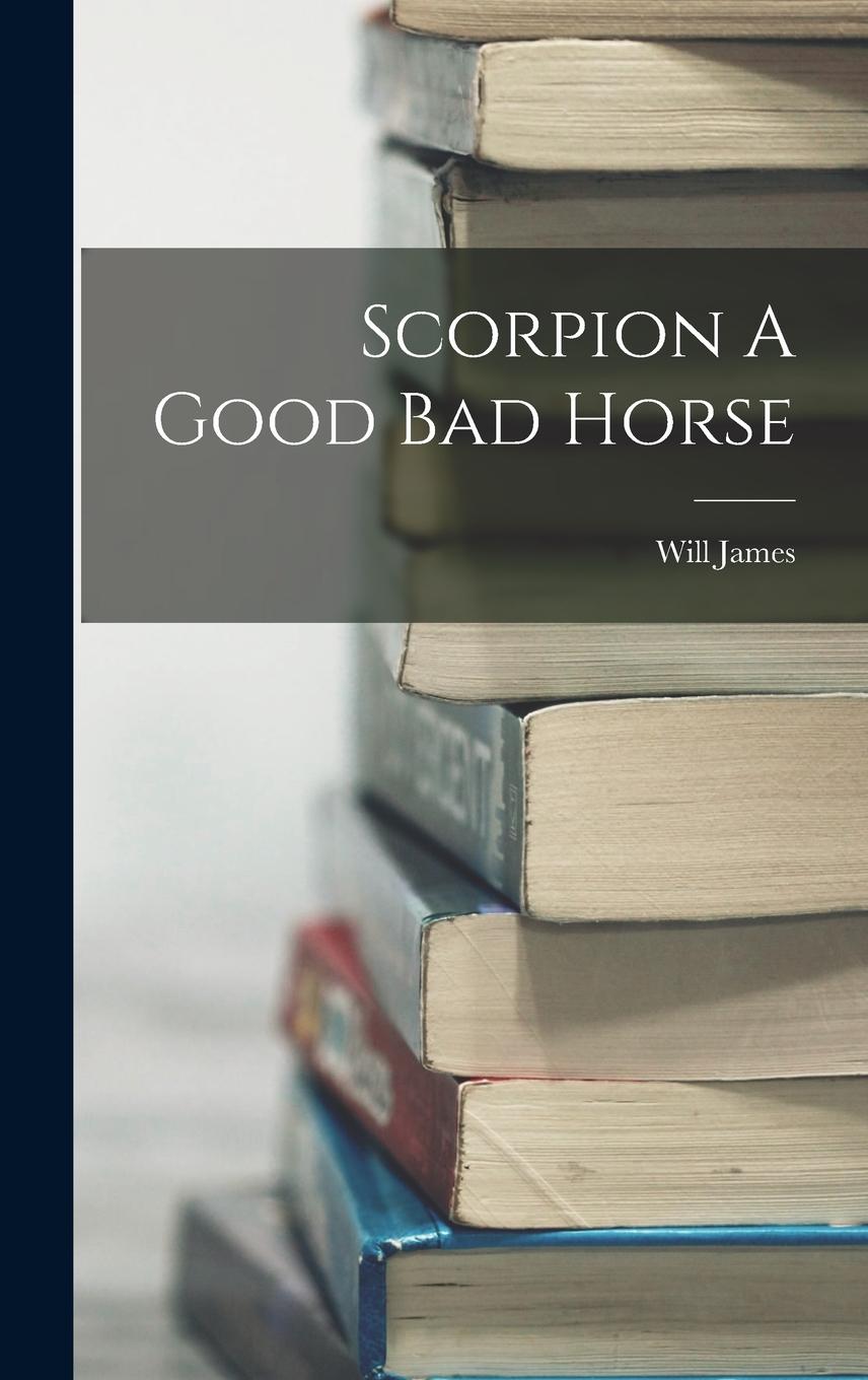 Vorderes Coverbild Scorpion A Good Bad Horse