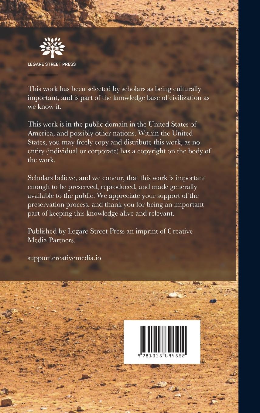 Rückseitencover The New World of Islam