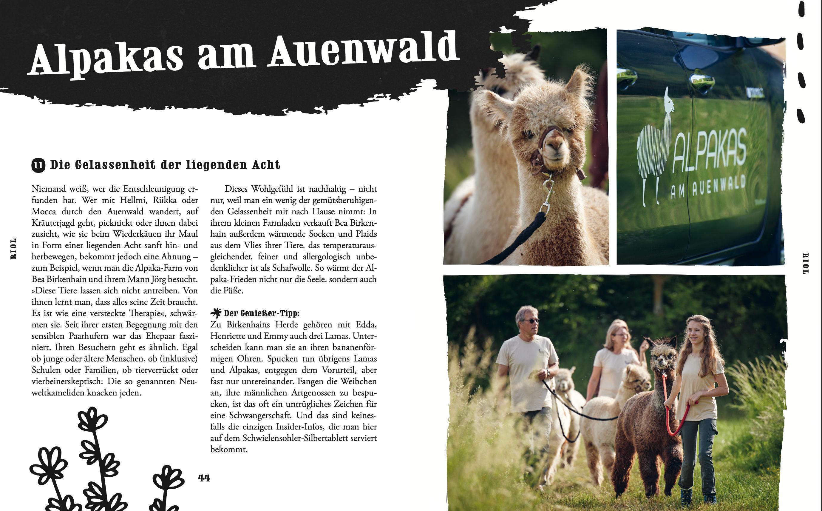 Beispielinhalt (Bild) Der Genuss-Entdecker Mosel