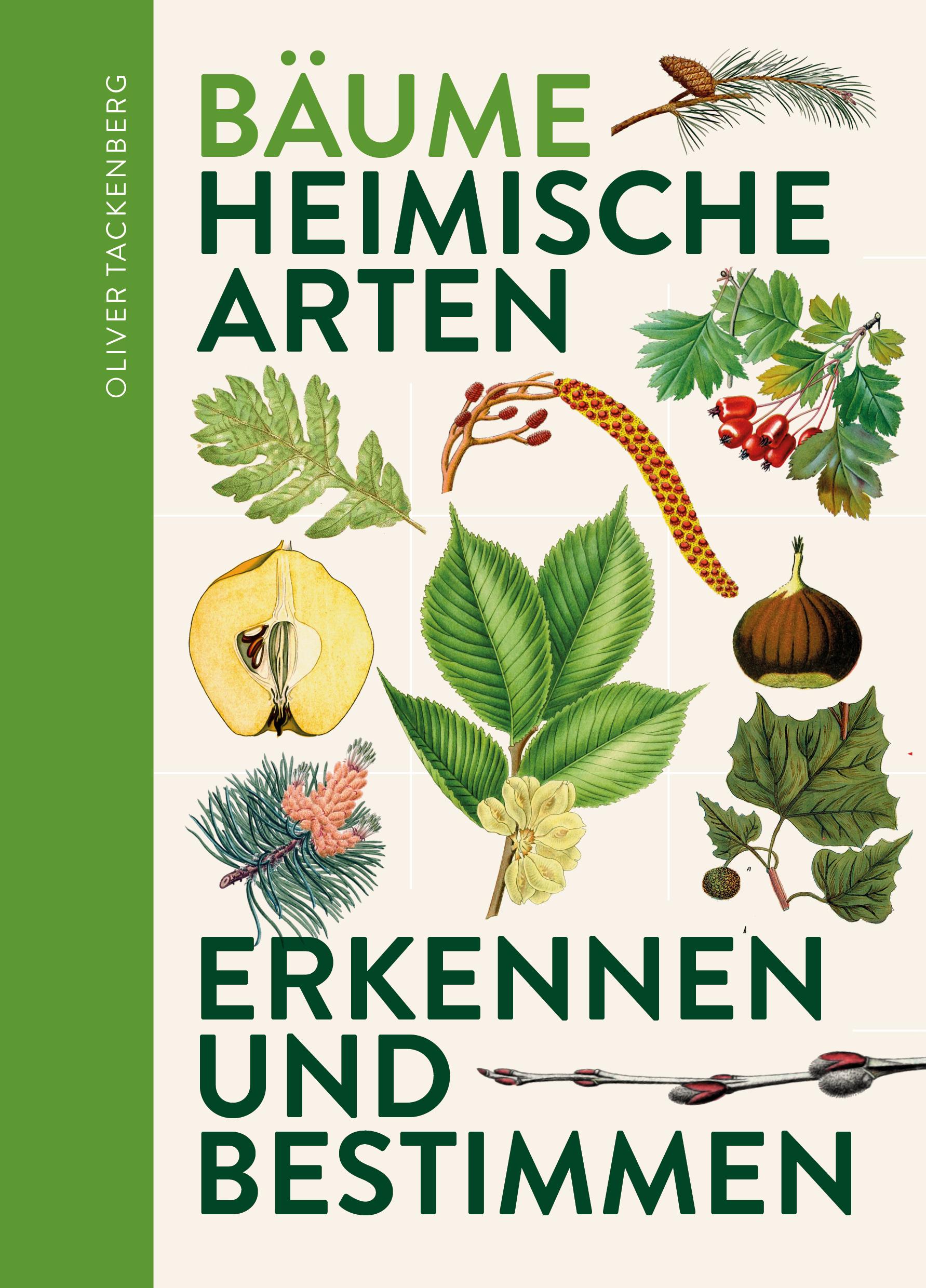 Vorderes Coverbild Bäume