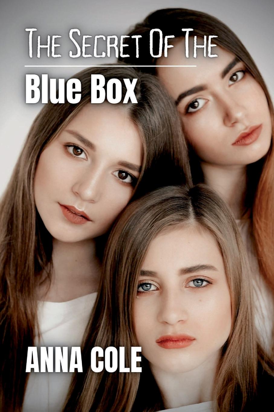 Vorderes Coverbild The Secret of the Blue Box