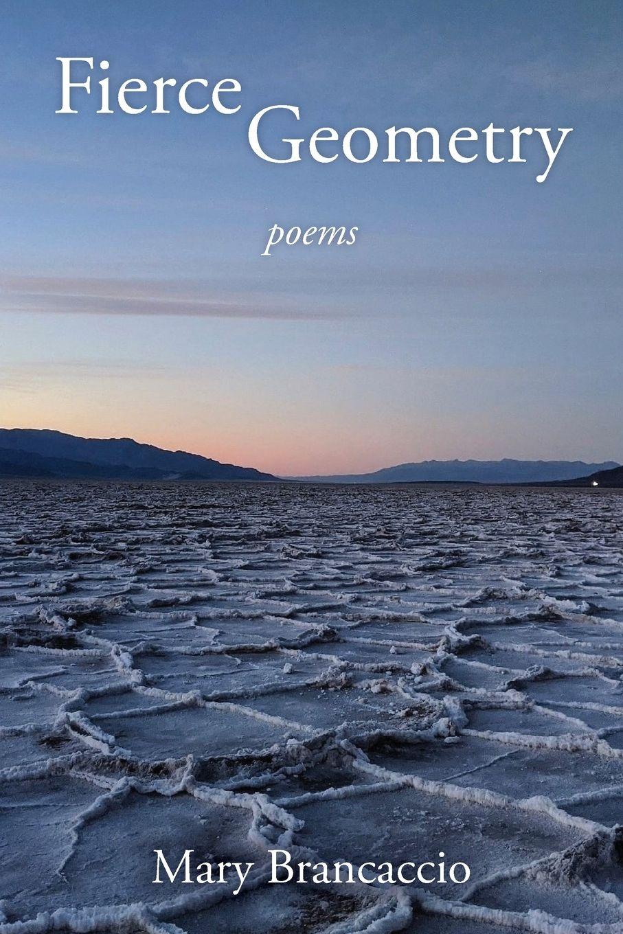 Vorderes Coverbild Fierce Geometry