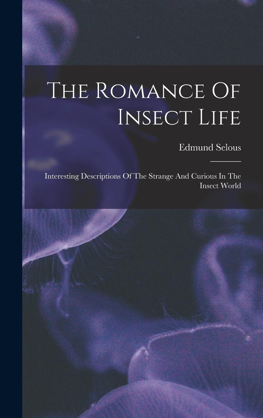Vorderes Coverbild The Romance Of Insect Life