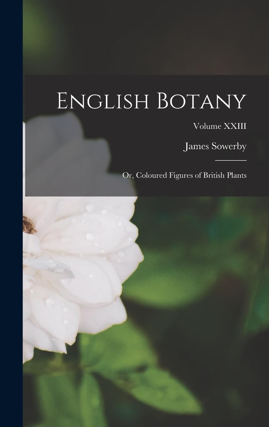 Vorderes Coverbild English Botany